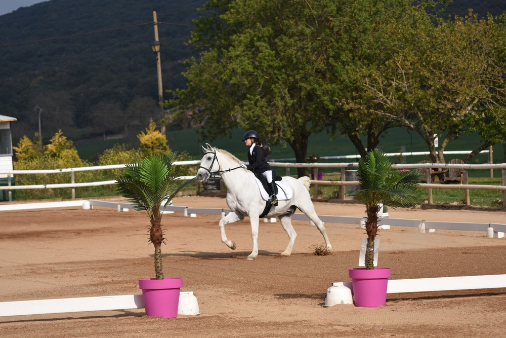 La Doma Cl&aacute;sica trae de vuelta la competici&oacute;n